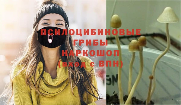 мдпв Бикин