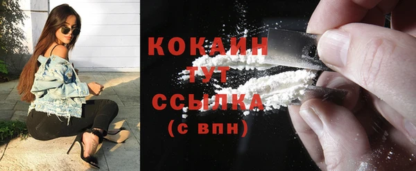 мдпв Бикин