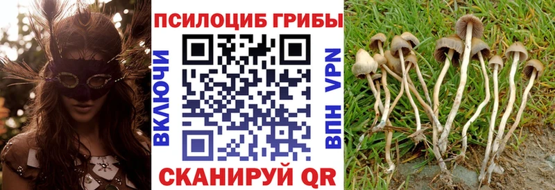 Купить закладки  Ивантеевка  Псилоцибиновые грибы Cubensis 