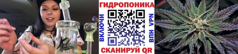 Шишки марихуана гибрид  Купить  Ивантеевка 